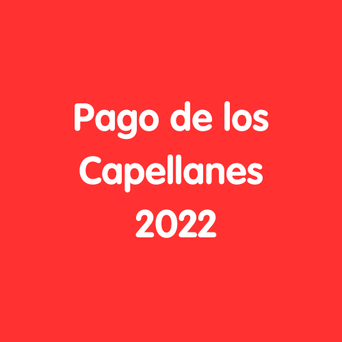[R] Pago de los Capellanes - 2022 (Bottle)